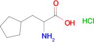 2-Amino-3-cyclopentylpropanoic acid hydrochloride