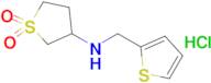 3-[(thiophen-2-ylmethyl)amino]-1lambda6-thiolane-1,1-dione hydrochloride