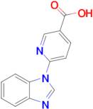 6-(1h-1,3-Benzodiazol-1-yl)pyridine-3-carboxylic acid