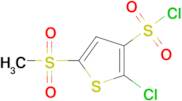 2-Chloro-5-methanesulfonylthiophene-3-sulfonyl chloride