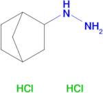 {bicyclo[2.2.1]heptan-2-yl}hydrazine dihydrochloride