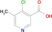 4-Chloro-5-methylpyridine-3-carboxylic acid