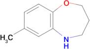 7-Methyl-2,3,4,5-tetrahydro-1,5-benzoxazepine