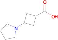 3-(Pyrrolidin-1-yl)cyclobutane-1-carboxylic acid