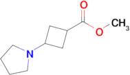 Methyl 3-(pyrrolidin-1-yl)cyclobutane-1-carboxylate