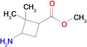 Methyl 3-amino-2,2-dimethylcyclobutane-1-carboxylate