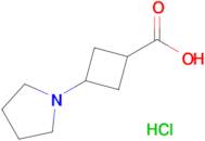 3-(Pyrrolidin-1-yl)cyclobutanecarboxylic acid hydrochloride