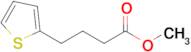 Methyl 4-(thiophen-2-yl)butanoate