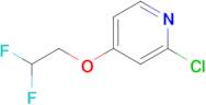 2-Chloro-4-(2,2-difluoroethoxy)pyridine