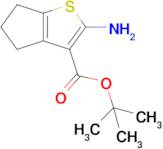 tert-Butyl 2-amino-5,6-dihydro-4H-cyclopenta[b]thiophene-3-carboxylate