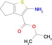 Isopropyl 2-amino-5,6-dihydro-4H-cyclopenta[b]thiophene-3-carboxylate
