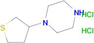 1-(Thiolan-3-yl)piperazine dihydrochloride