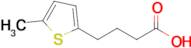 4-(5-Methylthiophen-2-yl)butanoic acid