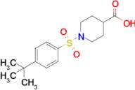 1-(4-Tert-butylbenzenesulfonyl)piperidine-4-carboxylic acid