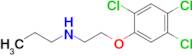 Propyl[2-(2,4,5-trichlorophenoxy)ethyl]amine