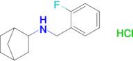 n-[(2-fluorophenyl)methyl]bicyclo[2.2.1]heptan-2-amine hydrochloride