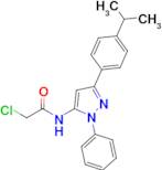 2-Chloro-n-{1-phenyl-3-[4-(propan-2-yl)phenyl]-1h-pyrazol-5-yl}acetamide