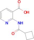 2-Cyclobutaneamidopyridine-3-carboxylic acid