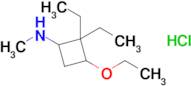 3-Ethoxy-2,2-diethyl-n-methylcyclobutan-1-amine hydrochloride