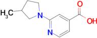 2-(3-Methylpyrrolidin-1-yl)pyridine-4-carboxylic acid