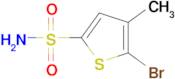 5-Bromo-4-methylthiophene-2-sulfonamide