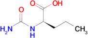 (2r)-2-(Carbamoylamino)pentanoic acid