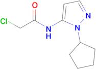 2-Chloro-n-(1-cyclopentyl-1h-pyrazol-5-yl)acetamide