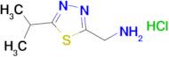 [5-(propan-2-yl)-1,3,4-thiadiazol-2-yl]methanamine hydrochloride