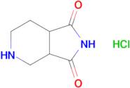 Octahydro-1h-pyrrolo[3,4-c]pyridine-1,3-dione hydrochloride