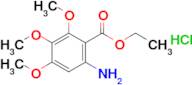 Ethyl 6-amino-2,3,4-trimethoxybenzoate hydrochloride