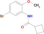 n-(5-Bromo-2-methoxyphenyl)cyclobutanecarboxamide