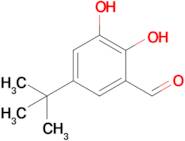 5-Tert-butyl-2,3-dihydroxybenzaldehyde