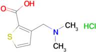 3-[(dimethylamino)methyl]thiophene-2-carboxylic acid hydrochloride