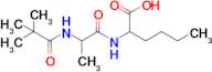 2-[2-(2,2-dimethylpropanamido)propanamido]hexanoic acid