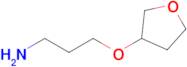 3-(3-Aminopropoxy)oxolane