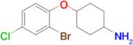 4-(2-Bromo-4-chlorophenoxy)cyclohexan-1-amine