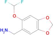 [6-(difluoromethoxy)-1,3-dioxaindan-5-yl]methanamine