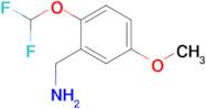 [2-(difluoromethoxy)-5-methoxyphenyl]methanamine