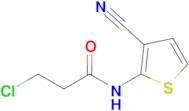 3-Chloro-n-(3-cyanothiophen-2-yl)propanamide