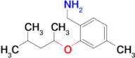 {4-methyl-2-[(4-methylpentan-2-yl)oxy]phenyl}methanamine