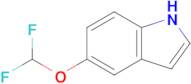 5-(Difluoromethoxy)-1h-indole