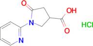 5-oxo-1-(2-pyridinyl)-3-Pyrrolidinecarboxylic acid hydrochloride (1:1)