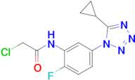 2-Chloro-n-[5-(5-cyclopropyl-1h-1,2,3,4-tetrazol-1-yl)-2-fluorophenyl]acetamide