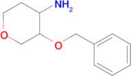 3-(benZyloxy)oxan-4-amine