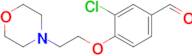 3-Chloro-4-[2-(morpholin-4-yl)ethoxy]benzaldehyde