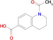 1-Acetyl-1,2,3,4-tetrahydroquinoline-6-carboxylic acid