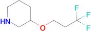 3-(3,3,3-Trifluoropropoxy)piperidine