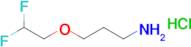 3-(2,2-Difluoroethoxy)propan-1-amine hydrochloride