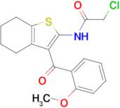 2-Chloro-n-[3-(2-methoxybenzoyl)-4,5,6,7-tetrahydro-1-benzothiophen-2-yl]acetamide