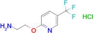 2-(2-Aminoethoxy)-5-(trifluoromethyl)pyridine hydrochloride